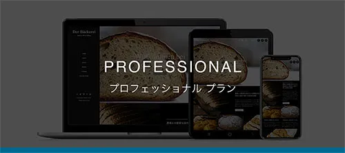 PROFESSIONAL プロフェッショナルプラン